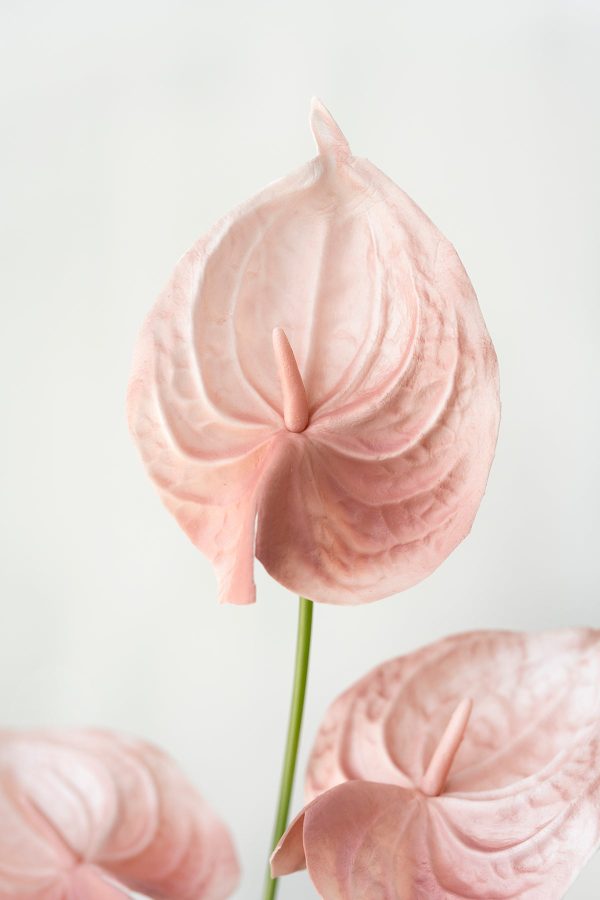 DIY Supporting Flower Boxes in Tropical Citrus & Pink Supply - Image 4
